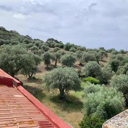 Сasa de vacaciones Casale Degli Ulivi