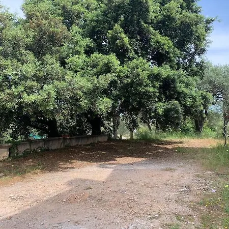 Casale Degli Ulivi Alghero