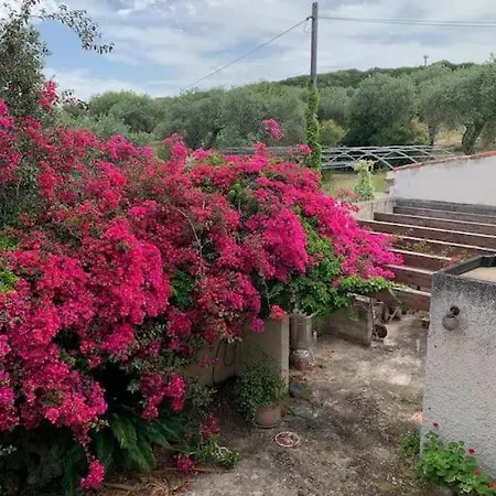 Casale Degli Ulivi Alghero