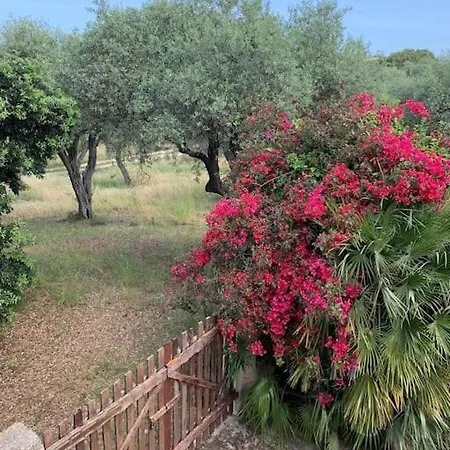 Casale Degli Ulivi Alghero