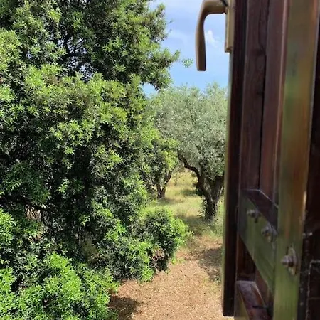 Casale Degli Ulivi Alghero