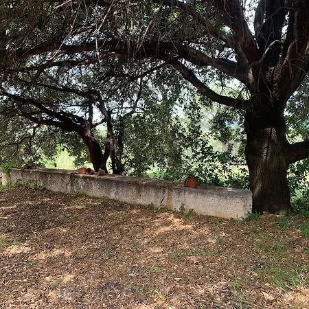 Casale Degli Ulivi